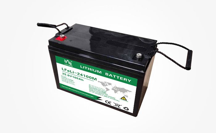 Zhuowei Lithium Series-ZW24100